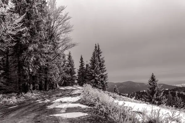 Dağlardaki güzel kış manzarası