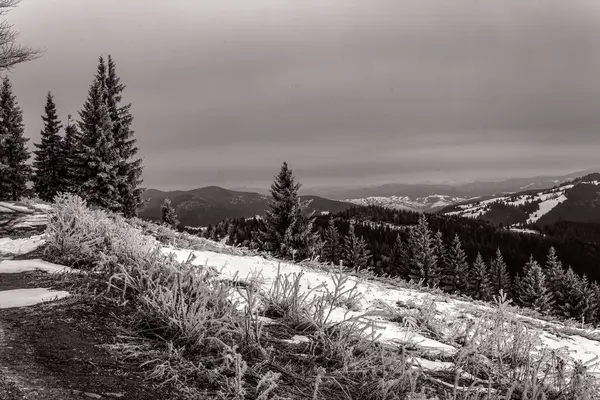 Bulutlu bir günde karlı dağların güzel bir görüntüsü.
