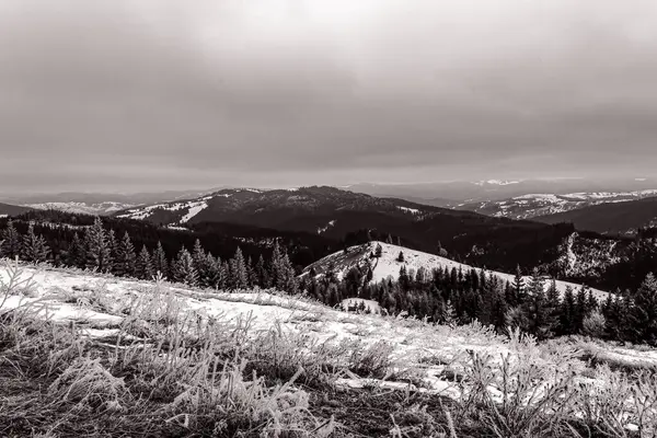 Karpat Dağları 'nın güzel manzarası