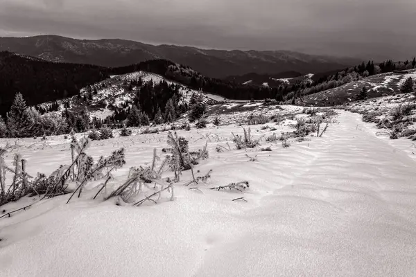 Dağlarda güzel kış manzarası