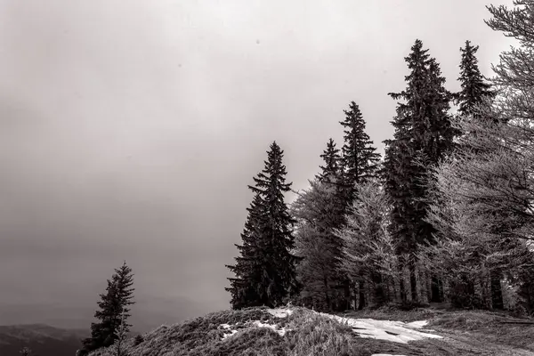 Siyah ve beyaz kış manzarası Ağaçlar ve dağlarla