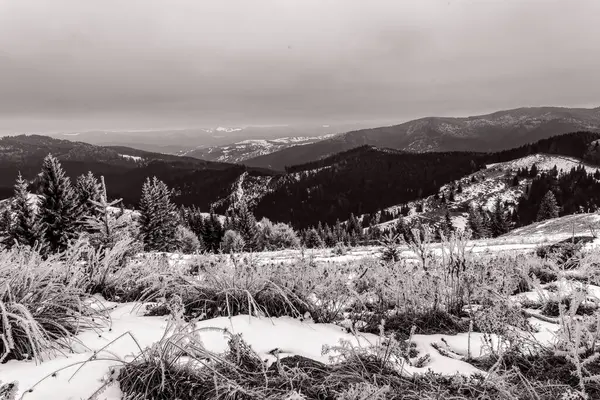 Polonya 'daki Polonya dağlarında kış manzarası.