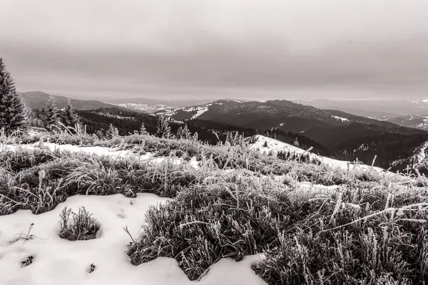 Güzel kış dağ manzarası