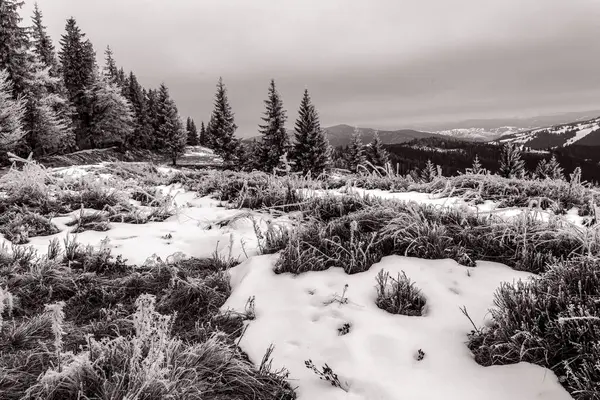 Karpatya dağlarındaki güzel karlı dağ manzarası