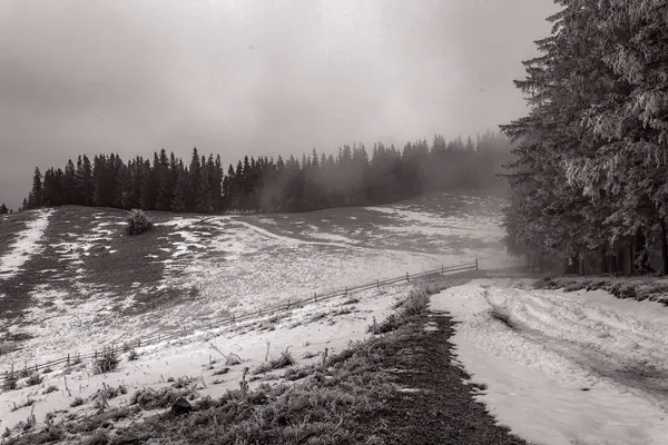 Karpat Dağları manzara, Ukrayna
