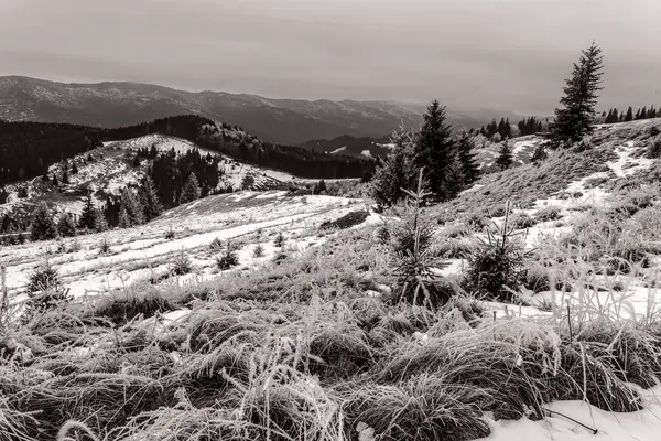 Karpat Dağları kış