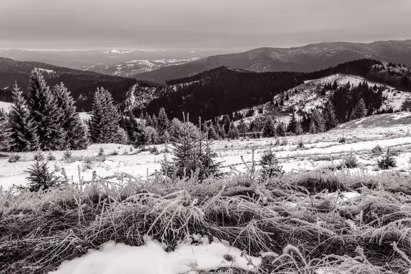 Dağlarda kış. Dağlar, karla örtülmüş. yüksek kaliteli fotoğraf