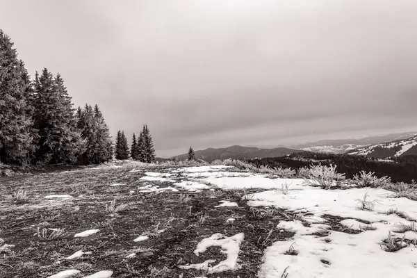 Güzel kış dağ manzarası