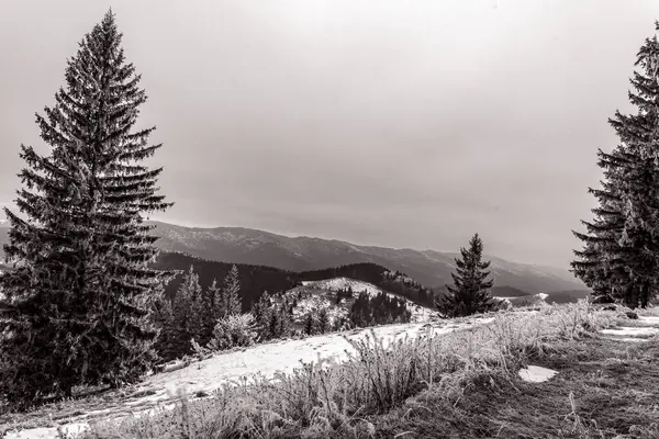 Dağlarda kış manzarası.