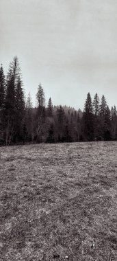 Kırsal manzarası çok güzel.