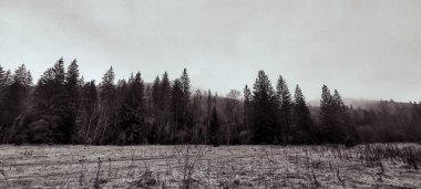 Karlı güzel kış manzarası