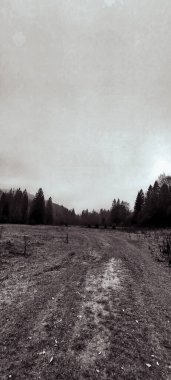 Kırsal bir yolun siyah beyaz fotoğrafı