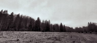 Karla kaplı ağaçlarla kaplı kış manzarası