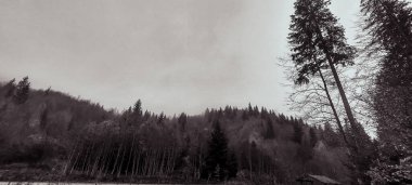 Dağları ve ağaçları olan güzel bir manzara.