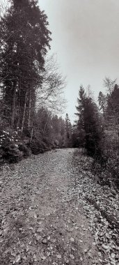 Nehir ve gölü olan güzel bir manzara.