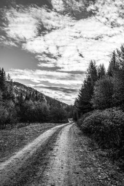 Güzel bir sonbahar manzarasının siyah ve beyaz görüntüsü