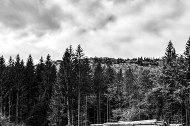 Dağların güzel manzarası