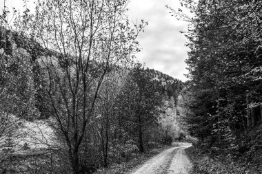 Dağların güzel manzarası