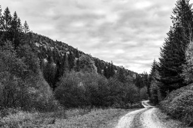 güzel bir yol manzarası