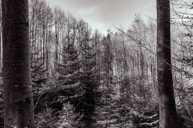 Dağların güzel manzarası