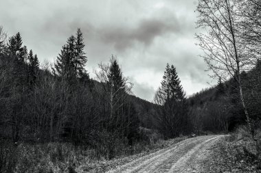 Ormandan geçen bir yol ve bir dağ.