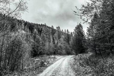 dağlarda güzel sonbahar