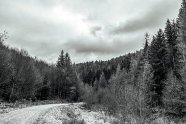güzel kış manzara yolu ile