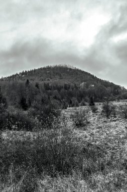 bir dağ manzarasının siyah beyaz fotoğrafı