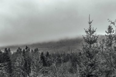 Karlı kış manzarası