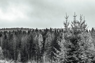 Güzel sonbahar manzarası dağlarda.