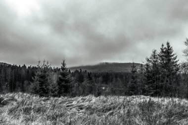 Karpatlar 'daki Ukrayna Karpatlar' ın sonbahar manzarası.