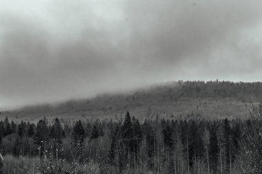 Karpatların Karpatlar 'daki dağ manzarası..