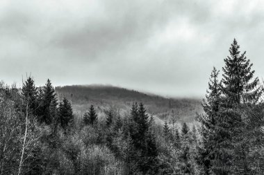 Dağın siyah beyaz fotoğrafı.