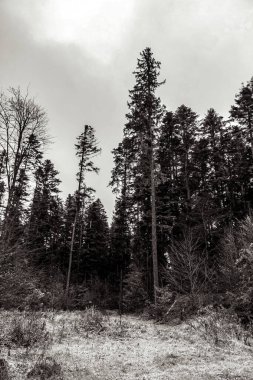 siyah beyaz kış manzarası