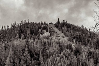 Dağda kışın çekilmiş siyah beyaz bir fotoğraf.