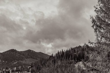 Dağların kışın siyah beyaz fotoğrafı