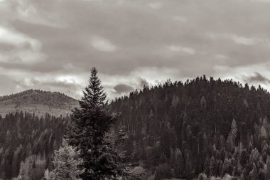 Karpatların güzel manzarası