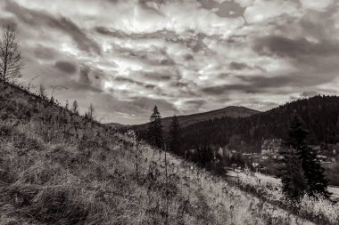 Orman ve dağlarla dolu güzel bir dağ manzarası. Karpatlar. ukraine.