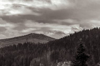 Karpatlar 'da siyah dağlar