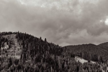 Orman, Karpatlar, Doğa Fotoğrafları - Avrupa, Doğu Avrupa, Romanya 