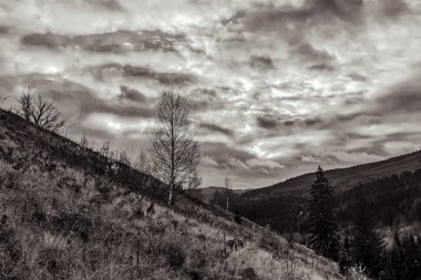Ukrayna 'daki dağın güzel manzarası.