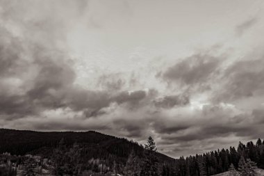 Ağaçlı ve dağlı bir dağ manzarasının alçak açılı görüntüsü.