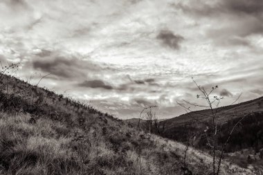 Arkasında bir dağ olan güzel bir manzara.
