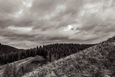 Orman ve ağaçlarla kaplı bir dağ manzarası üzerinde siyah ve beyaz bulutlar
