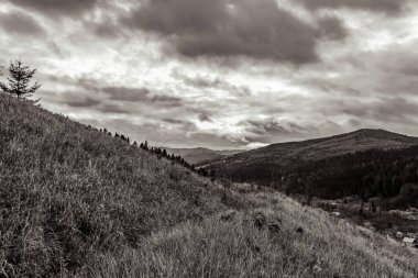 Dağları olan güzel sonbahar ormanı