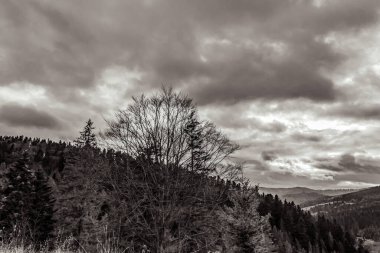 güzel dağ manzarası ile bulutlu gökyüzü