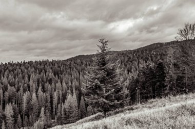 siyah ve beyaz bulutlar ve dağlar