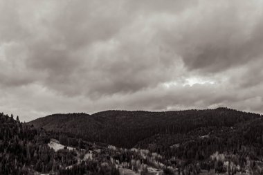 siyah ve beyaz bulutlar ve ağaçlar