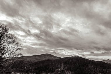 Karpat Dağlarının güzel manzarası