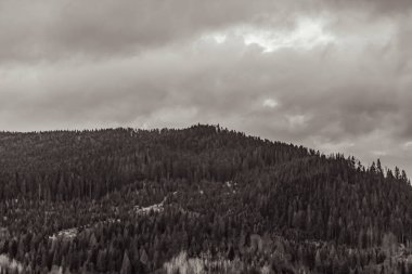 Karpat Dağları 'ndaki siyah ve beyaz dağ manzarası